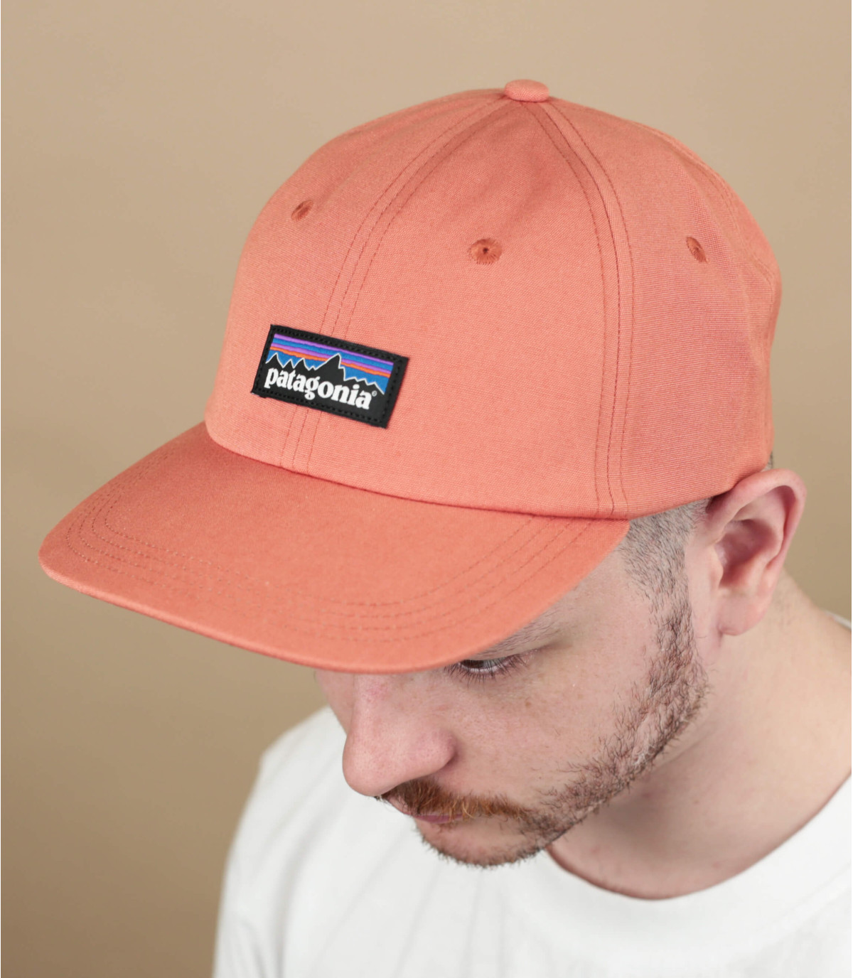 patagonia p 6 label trad cap black